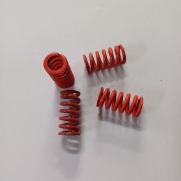 Muelles Embrague Rieju RV50...