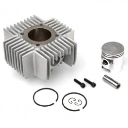 Cilindro Puch MAXI Motor...