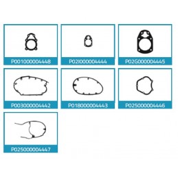 Juntas MV Agusta 235