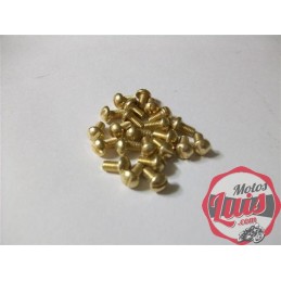 Tornillo Laton Emblema Montesa M3 x 5mm