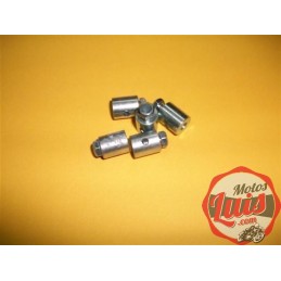 Perrillo Prisionero 10 mm