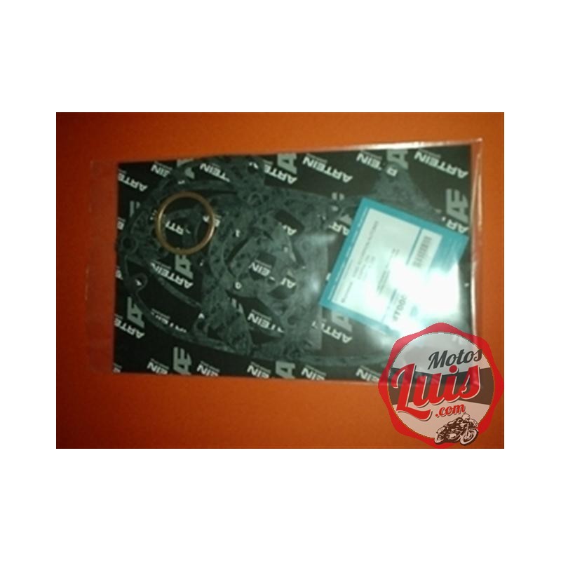 Juego Juntas King Scorpion Automix / Cappra 250 / Rapita 250