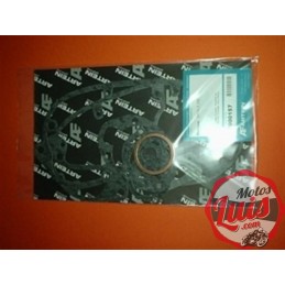 Juego Juntas Impala 250