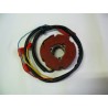 Estator Electronico Tipo Motoplat Diam.90