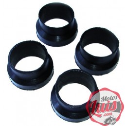 Gomas Soporte Faro Derbi 2002