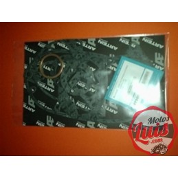 Juego Juntas Impala 175 - Impala 2