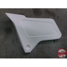 Tapa Lateral Izda Derbi RC