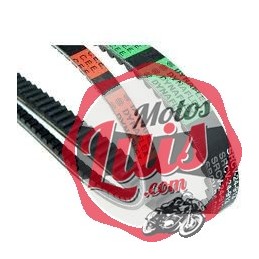 Correa Vespino Dentada AL / ALX / GL / NL / NLX / SC