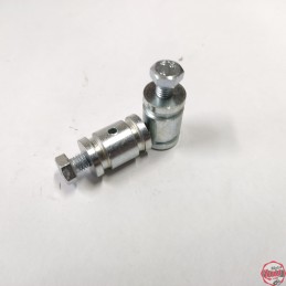 Perrillo Prisionero Con...