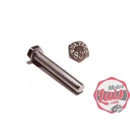 Tornillo Bultaco M6 x 40