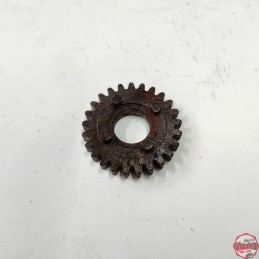 Piñon Libre de Segunda de...