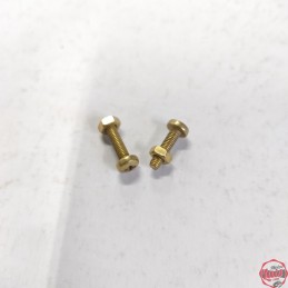 Tornillos Laton Cerradura...