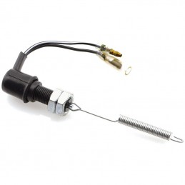 Interruptor Freno Yamaha SR