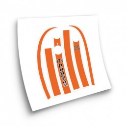 Juego Adhesivos OSSA...