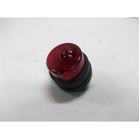 Pilotos Posteriores y Luz Matricula